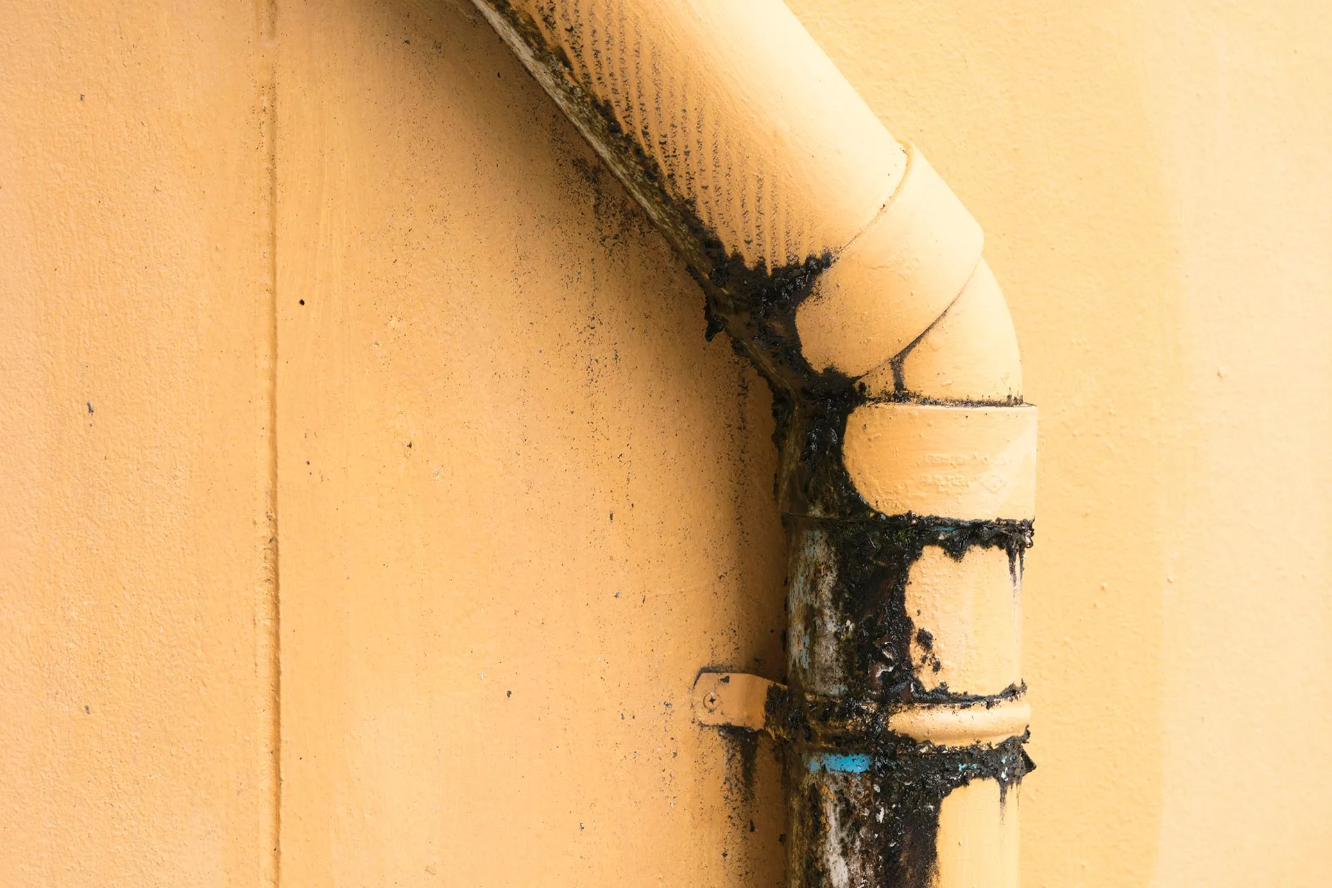 Schnelle Hilfe bei Wasserschäden